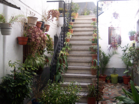 Oasis Real State. Houses in Granada, Spain