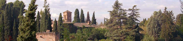 Inmobiliaria Oasis en Granada