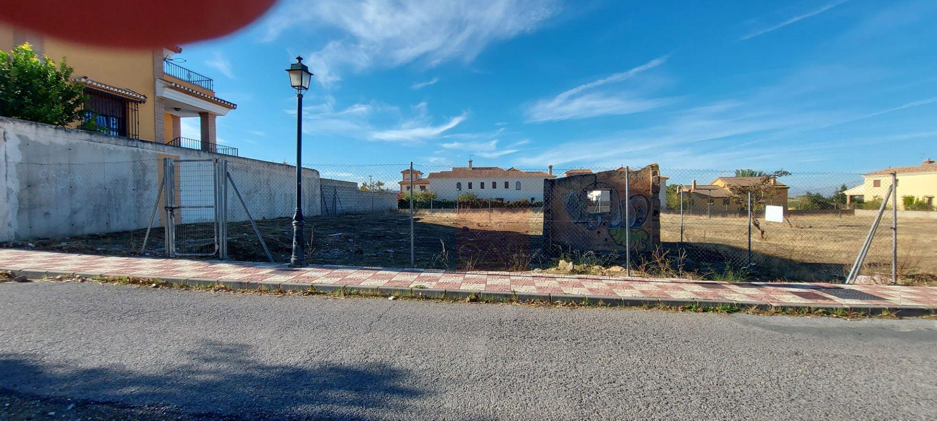 Inmobiliaria Oasis en Granada