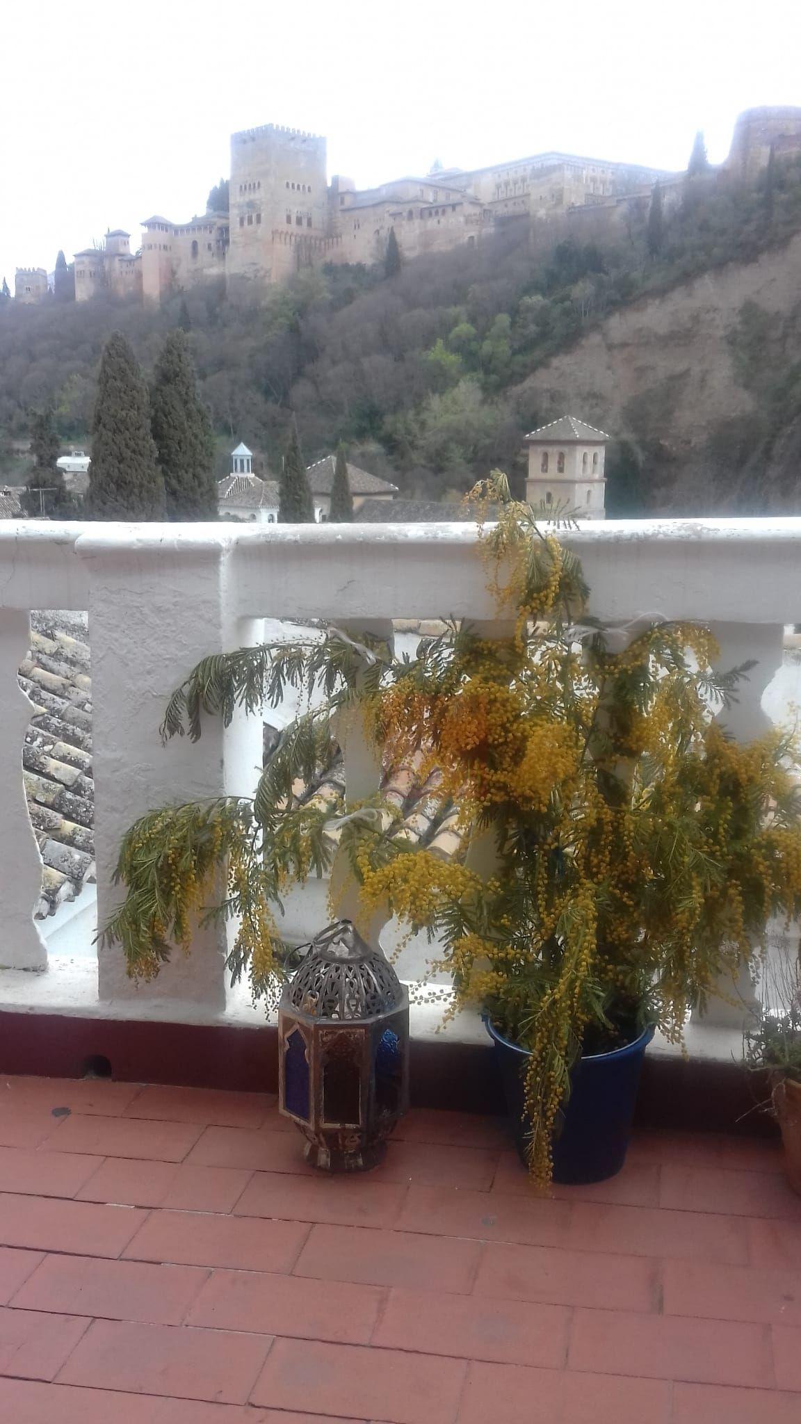 Inmobiliaria Oasis en Granada