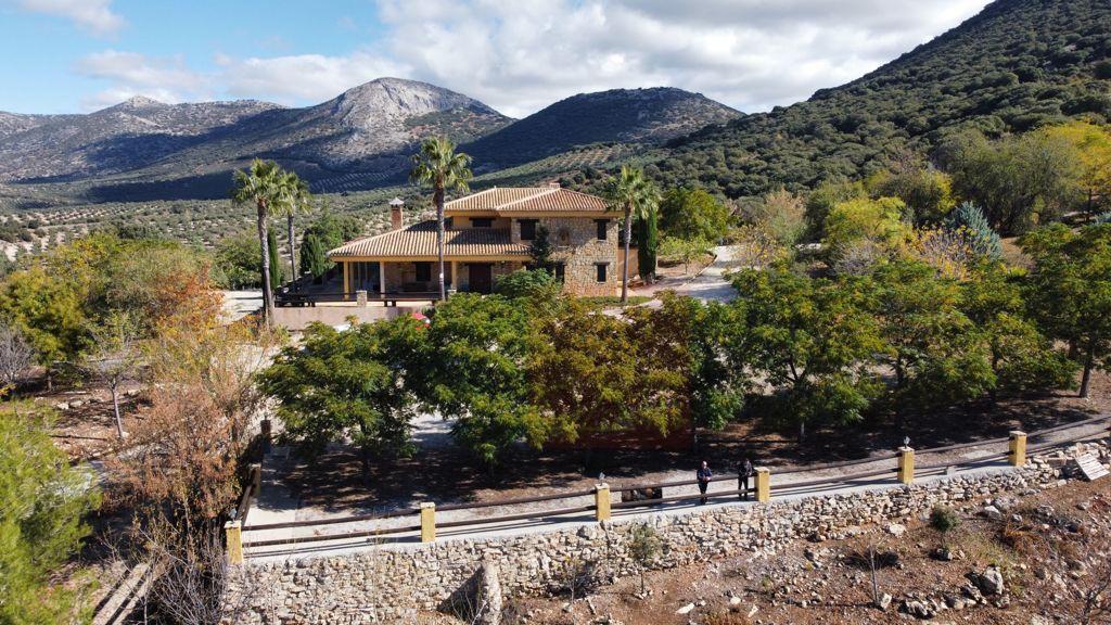 Inmobiliaria Oasis en Granada